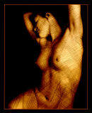 A siren lures the wanderer to her wiles